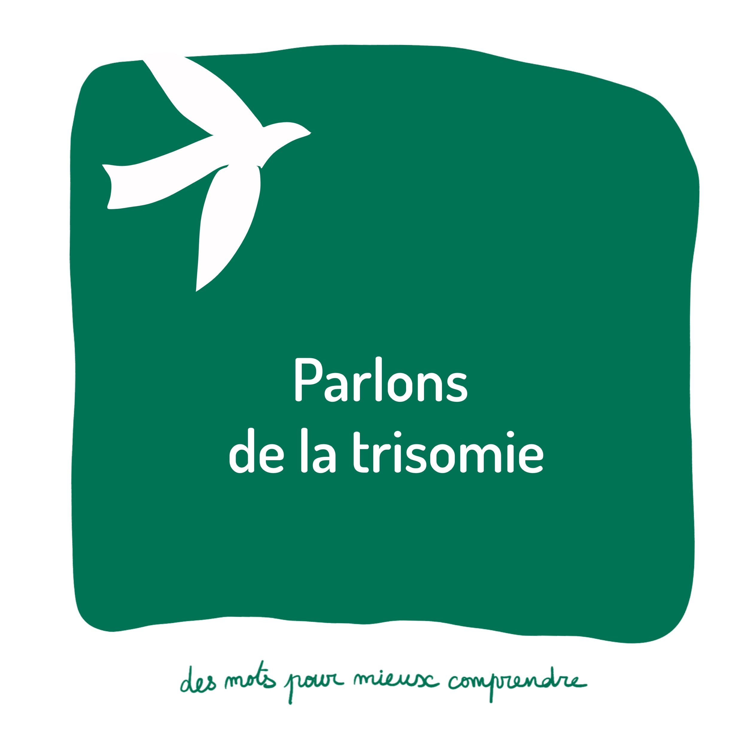 Des mots pour mieux comprendre : séparation, décès, incarcération... – Image 2